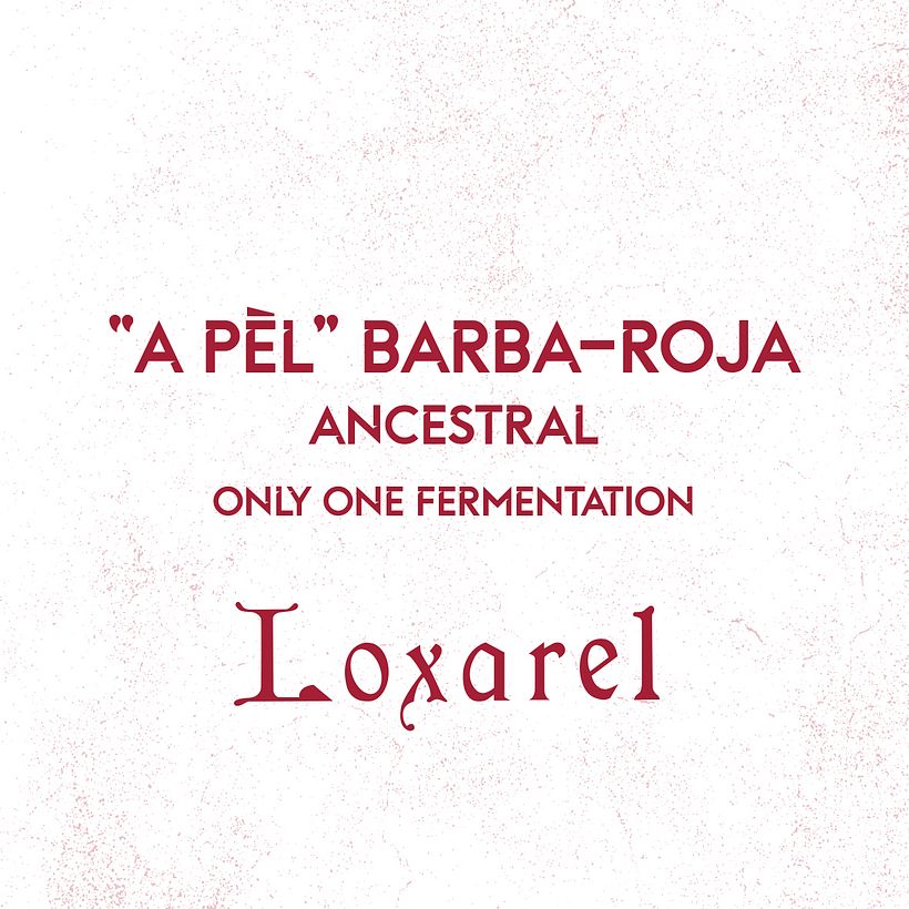 Loxarel "A Pèl" Barba-Roja 11