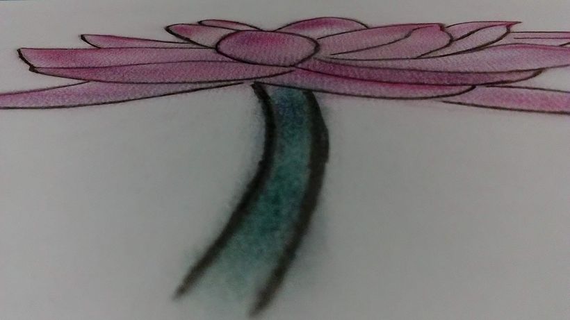 Flor de Loto  0