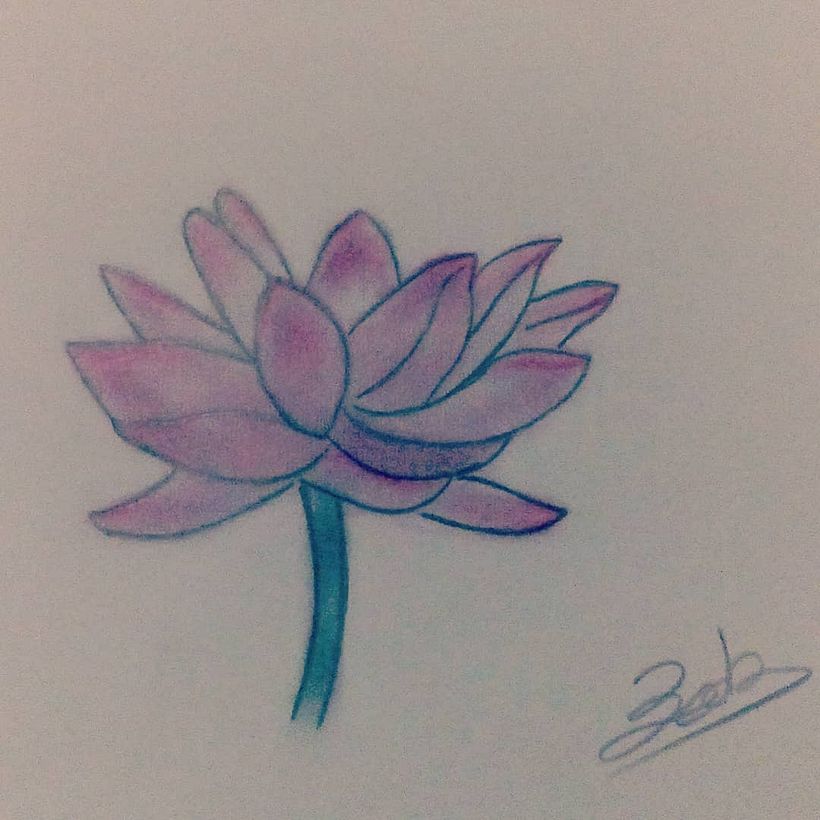 Flor de Loto  2
