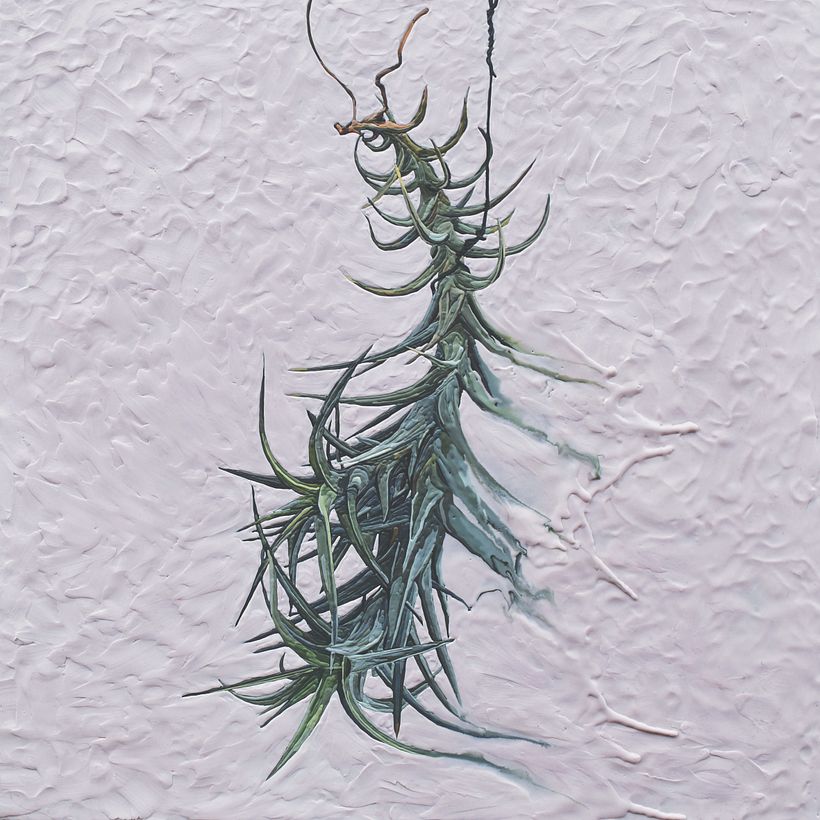 Ya no somos plantas de interior. 1