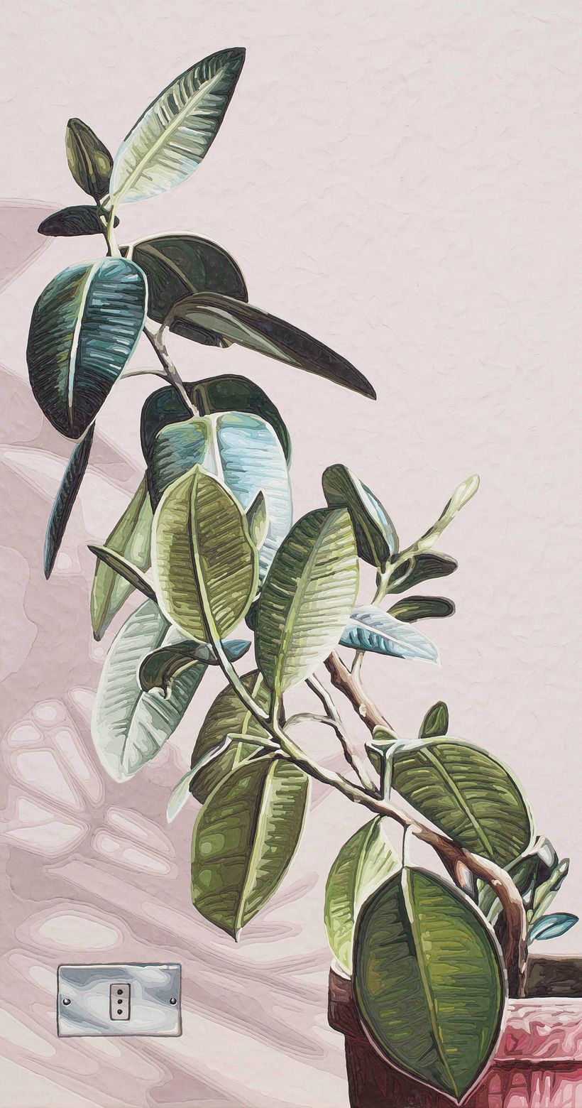 Ya no somos plantas de interior. 2