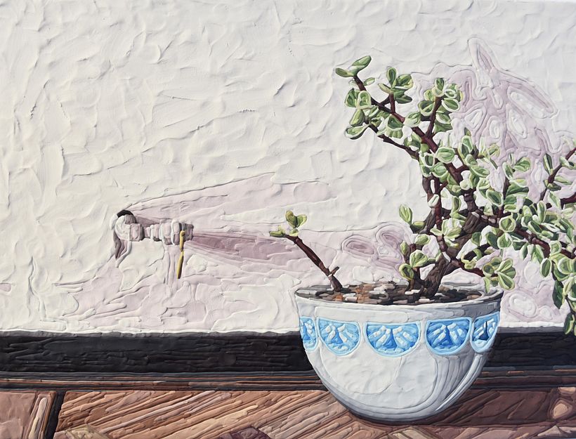 Ya no somos plantas de interior. 3