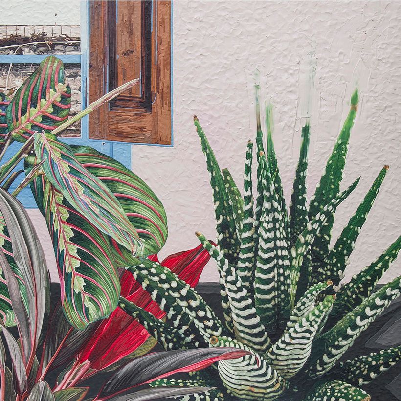 Ya no somos plantas de interior. 4