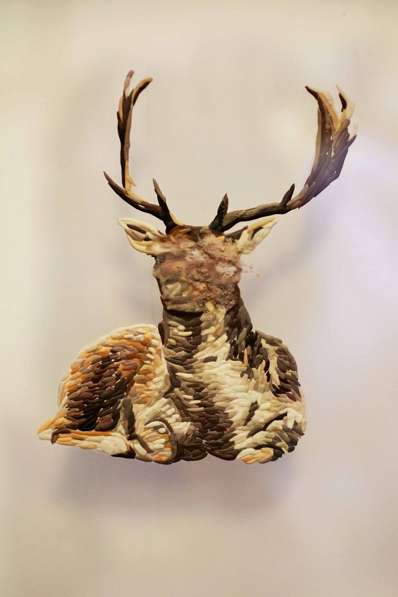 Animales 3