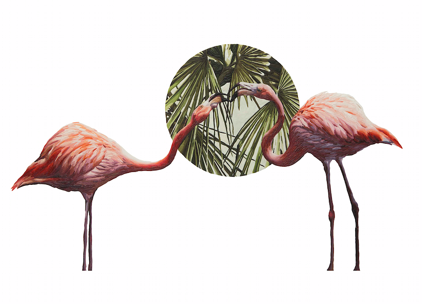 Animales 4