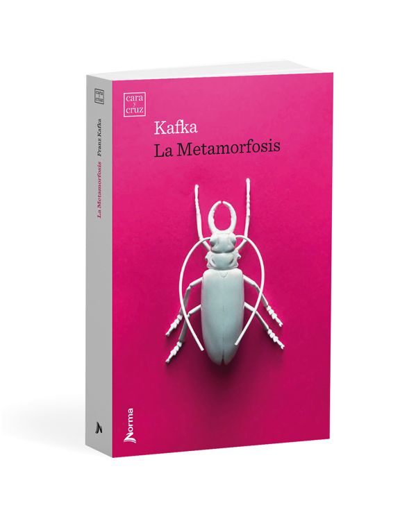Testa e croce 2