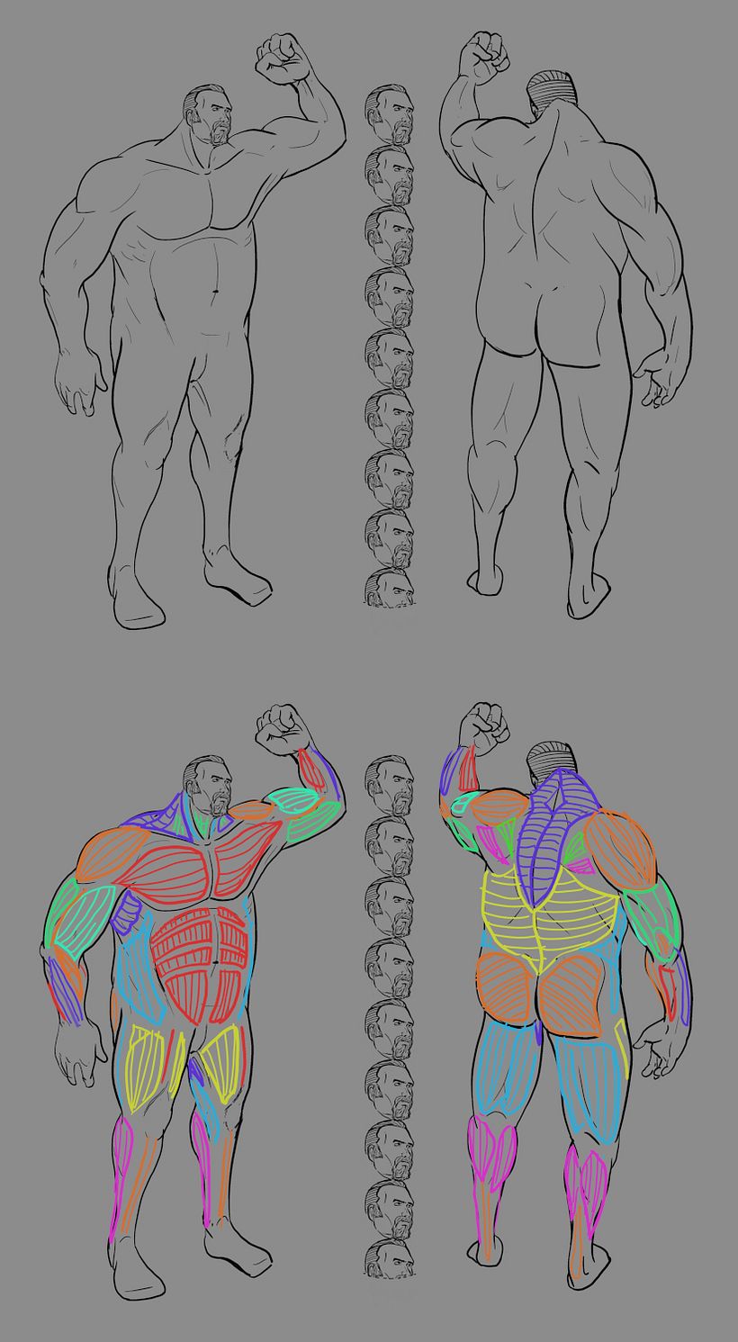 Mi Proyecto del curso: Ilustración para cómics: anatomía de un superhéroe 3