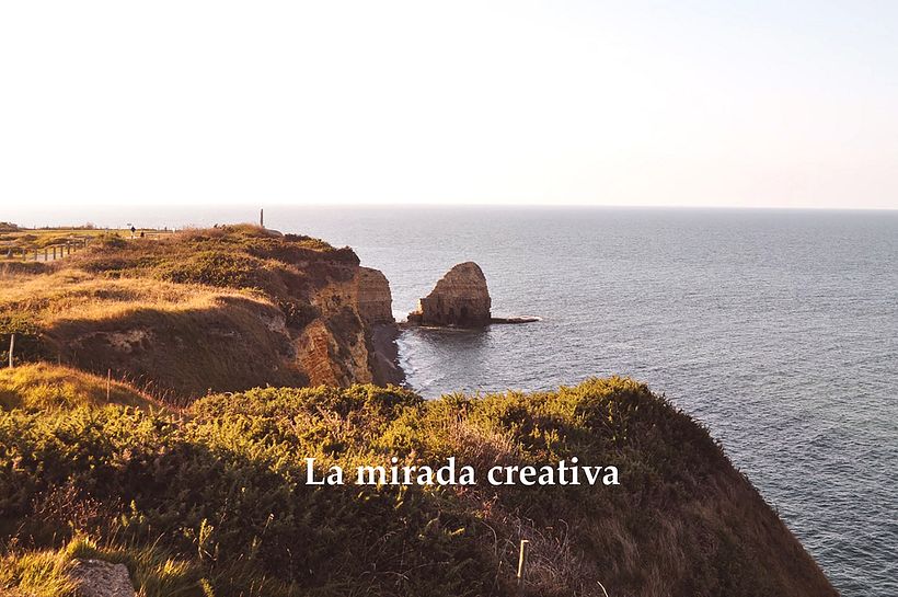 Mi Proyecto del curso: Claves para crear un portafolio de ilustración profesional 0