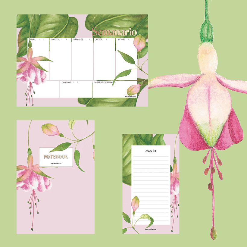 Mi Proyecto del curso: Ilustración botánica con acuarela. 0