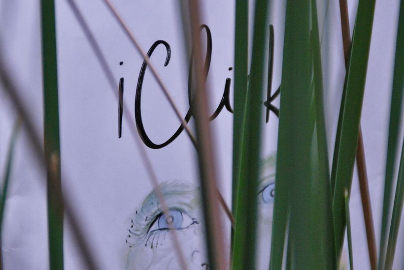 ¡Click!, an illustrated album for childrens. 12