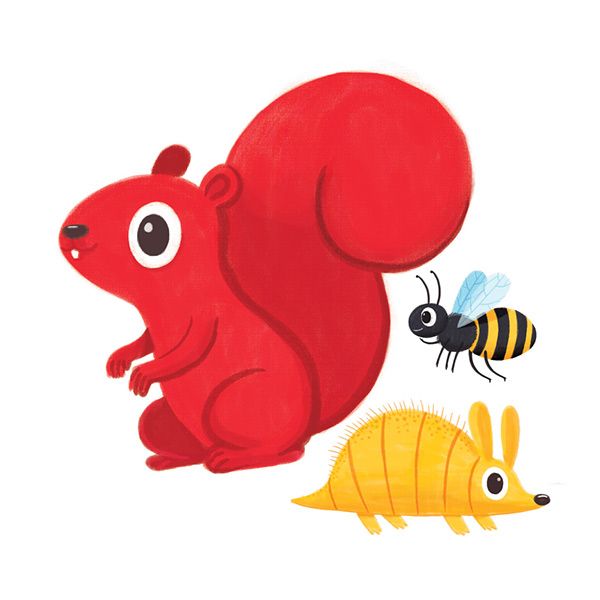 Ardilla, Abeja, Armadillo