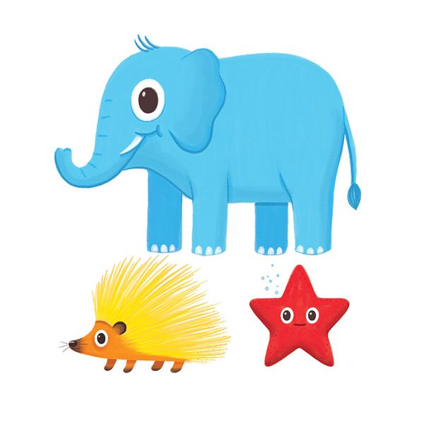 Elefante, Erizo, Estrella de mar
