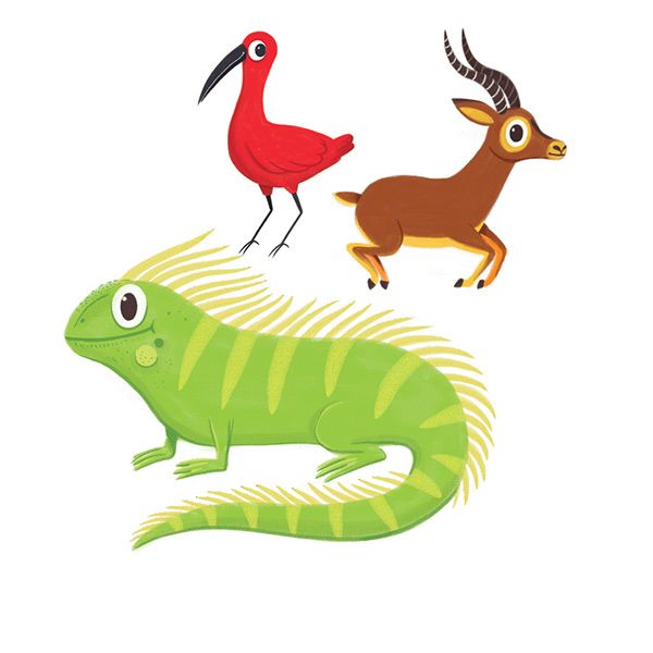 Ibis, Impala, Iguana