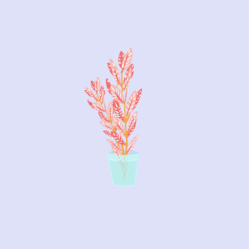Patterns 7