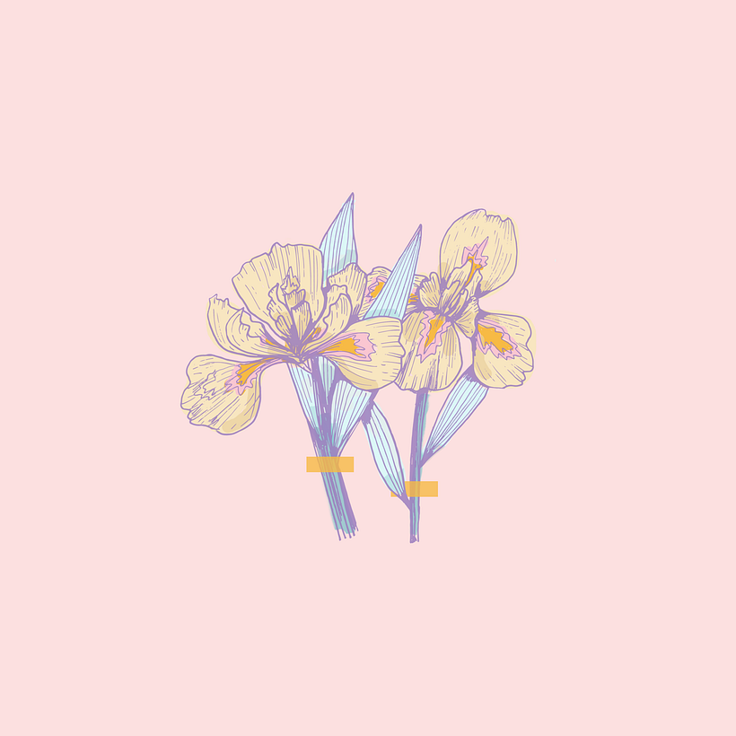 Patterns 8