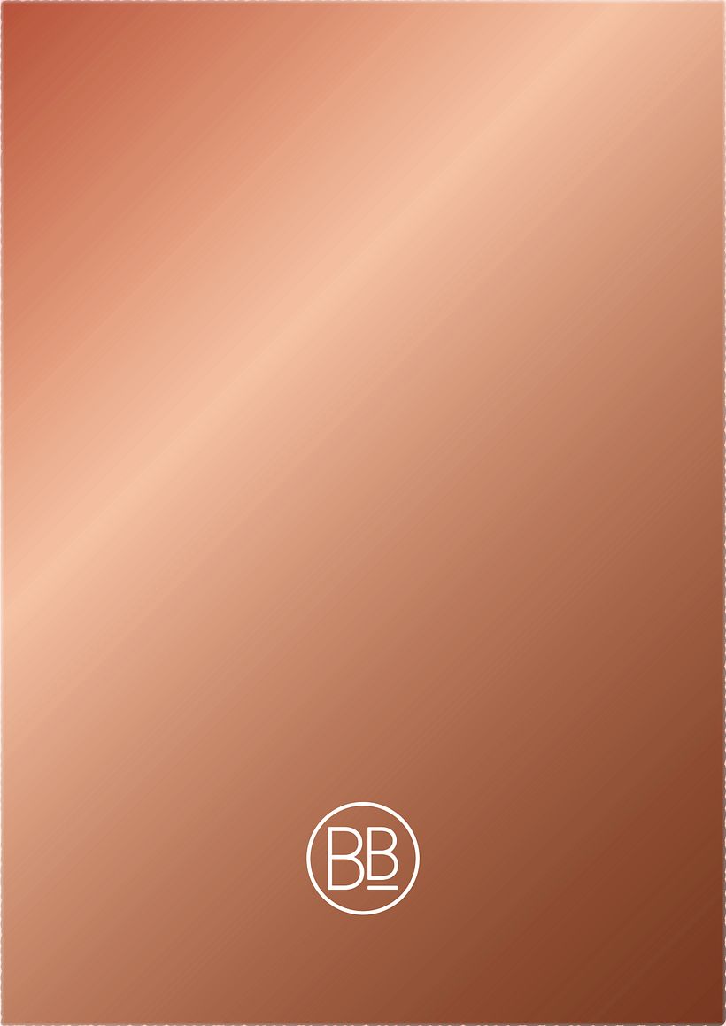 Mi Proyecto del curso: Identidad corporativa BARRA_BAJA 6