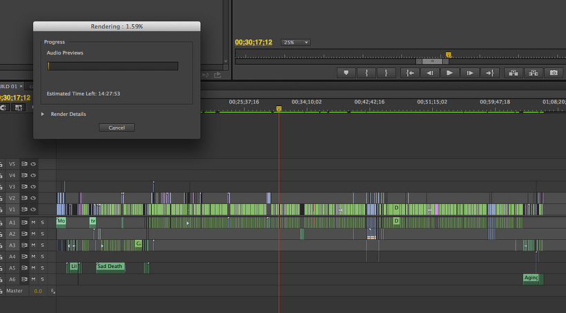 ¿Un render de audio de 14 horas? En Premiere, es posible