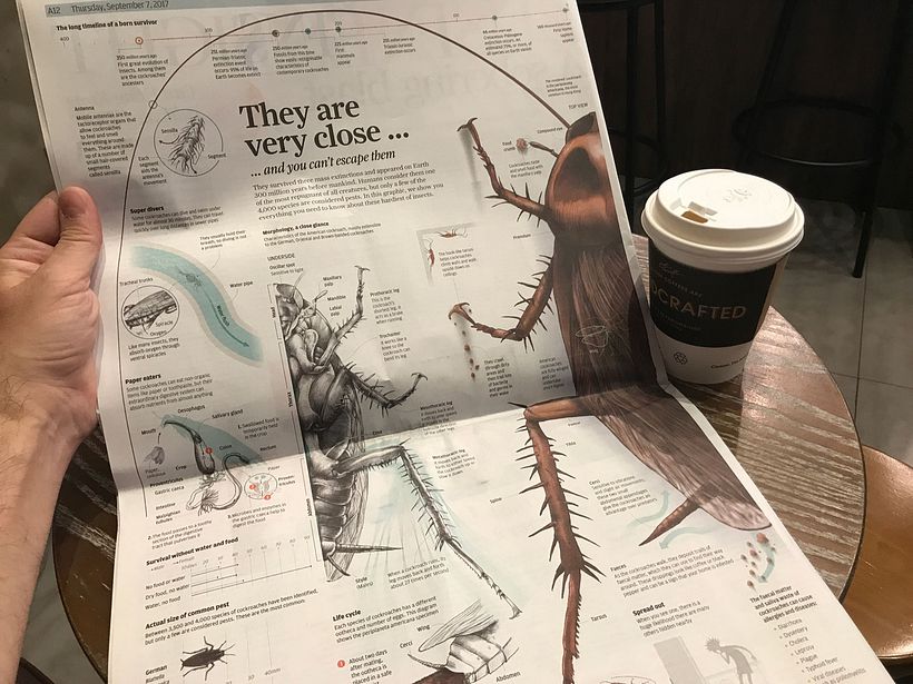 Hong Kong'un South China Morning Post gazetesinde basılı versiyon