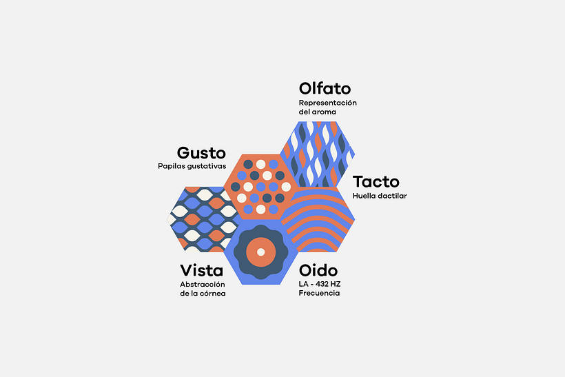 Desarrollo de patrones para Sense Studio 4