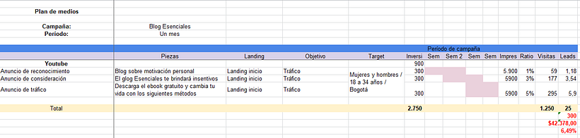 Mi Proyecto del curso: Desarrollo de un plan de medios digitales 1