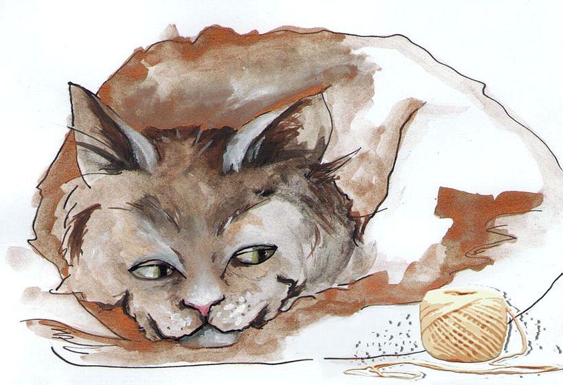 ILUSTRACIONES para Cuentos infantiles 0