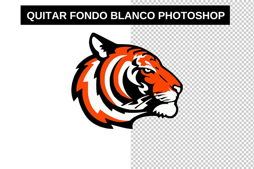 Quitar Fondo Blanco Photoshop 0