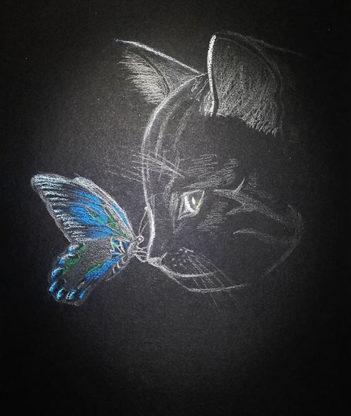 El gato y la mariposa azul -1