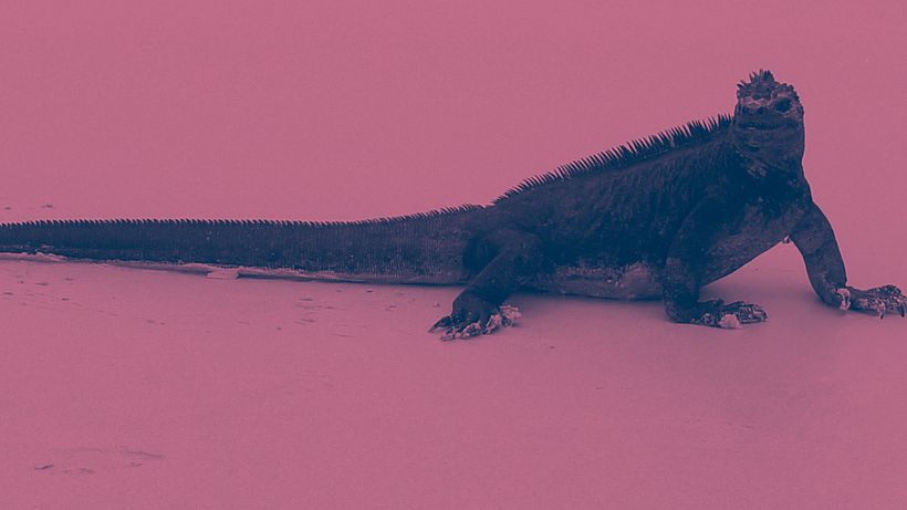 Galapagos  2