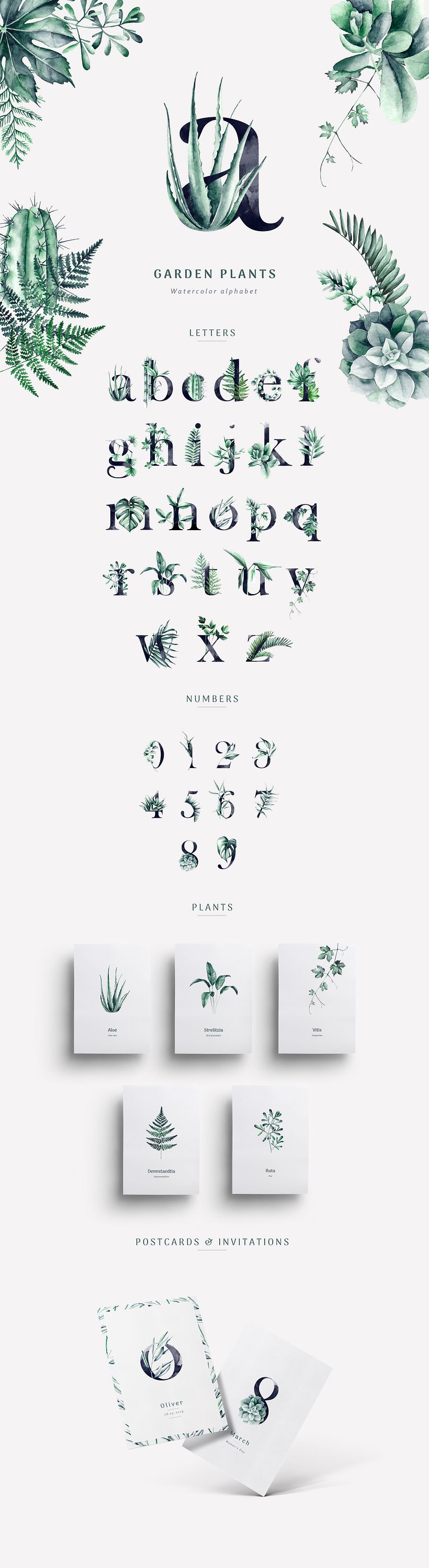 Botanical alphabet / watercolor -1