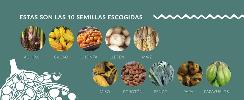 Campaña Semillas Ancestrales 3