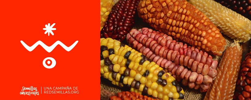 Campaña Semillas Ancestrales 1