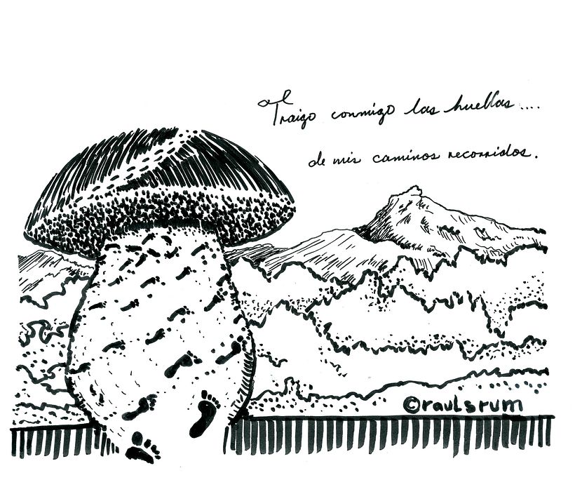 Caminos