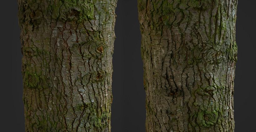 Photogrammetry Tile Textures - Bark Pack 02 1