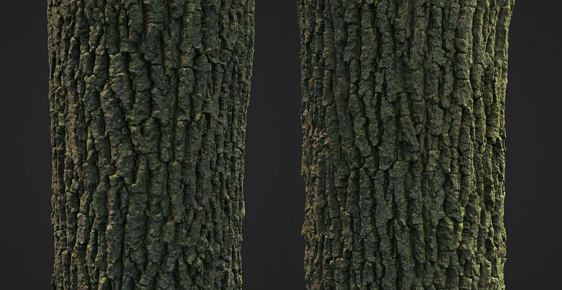Photogrammetry Tile Textures - Bark Pack 02 2