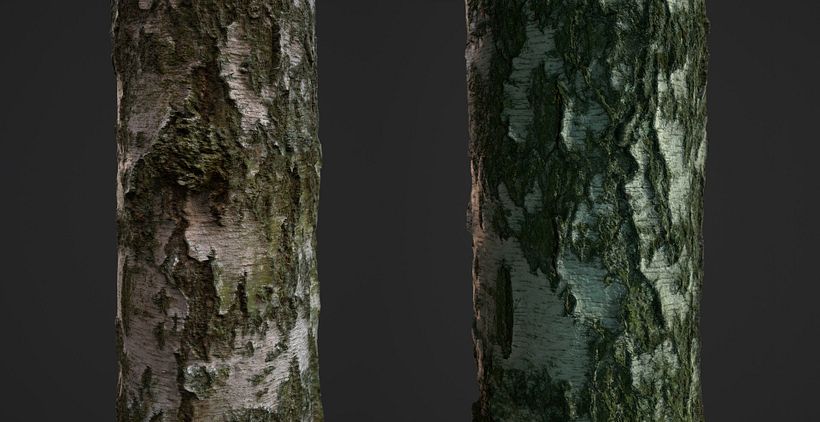 Photogrammetry Tile Textures - Bark Pack 02 3