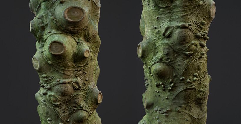 Photogrammetry Tile Textures - Bark Pack 02 4
