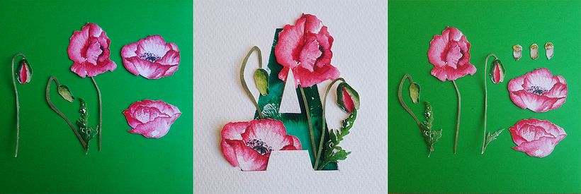 A - Amapola