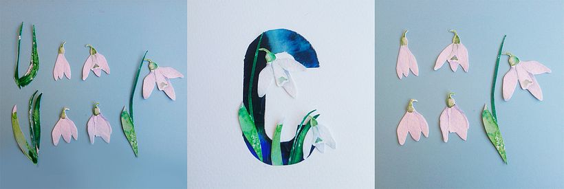 C - Campanilla de invierno