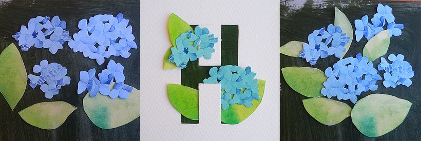 H - Hortensia