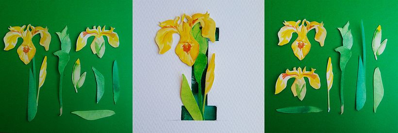 I - Iris