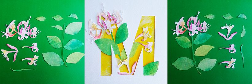 M - Madreselva