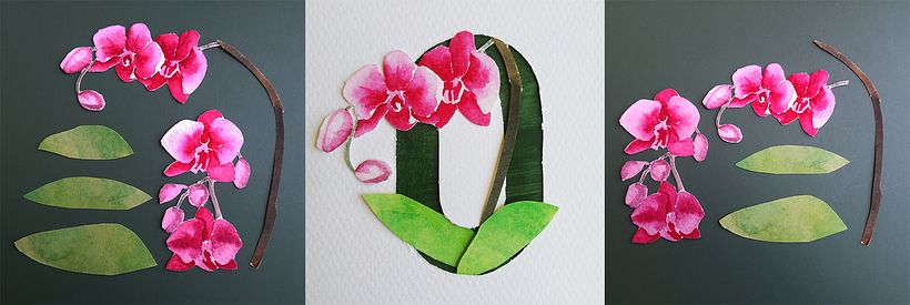 O - Orquídea