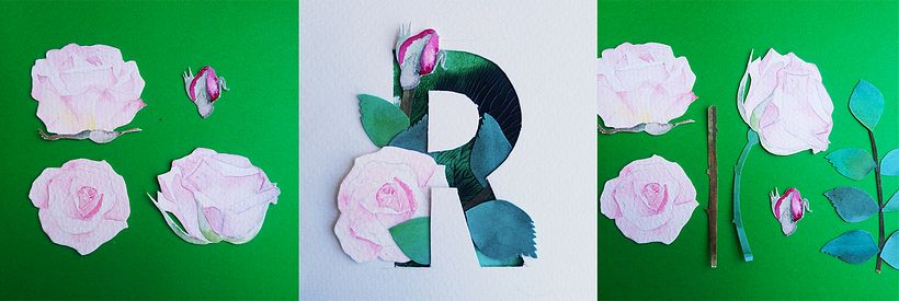 R - Rosa