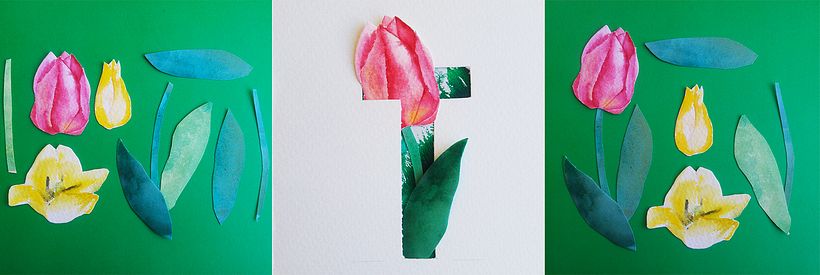 T - Tulipán