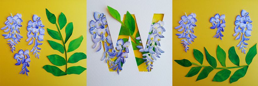 W - Wisteria