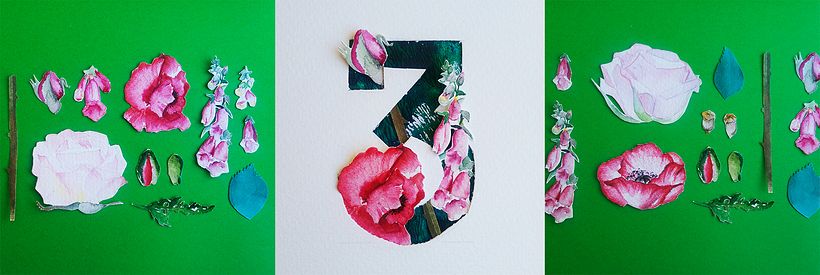 3 - Rosa, Dedalera y Amapola