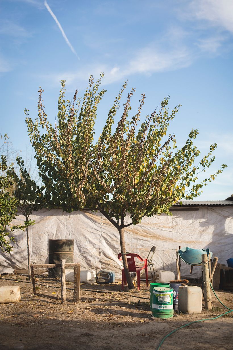 Vivienda Rural en el Valle Central de Chile 4