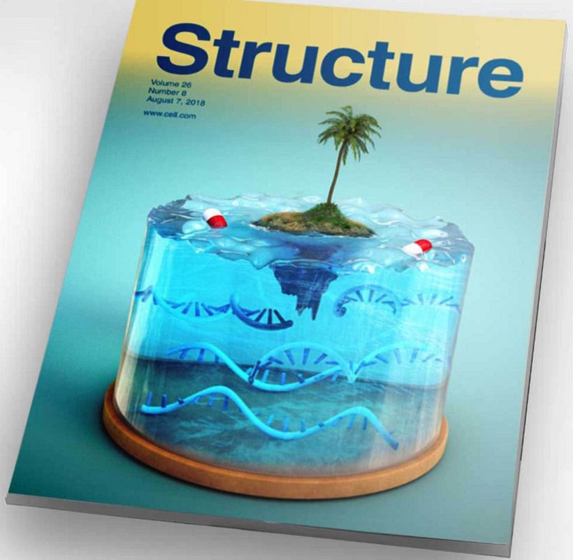 ‘Structure’’ cover for this scientific journal, issued Aug 2018 -1