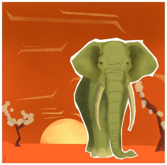 Elefante 