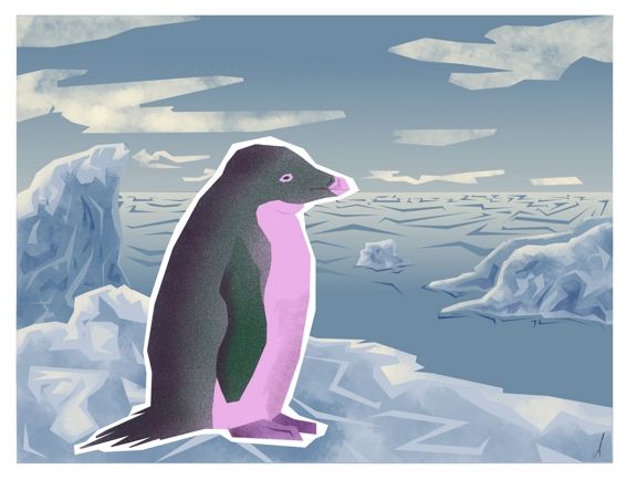 Pingüino